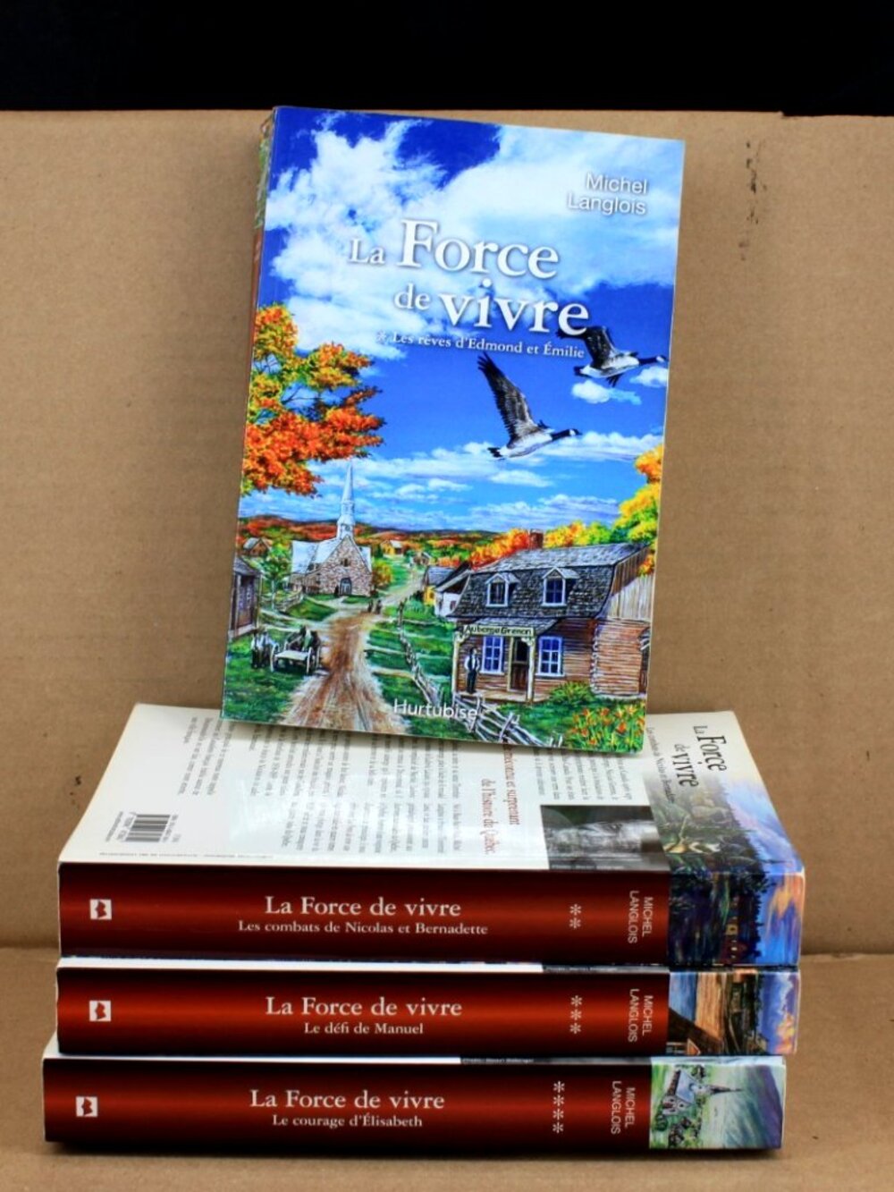 Lot 4 Livres Books - Michel Langlois - La Force De Vivre French